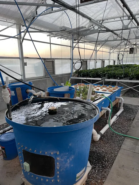 Aquaponics growing space