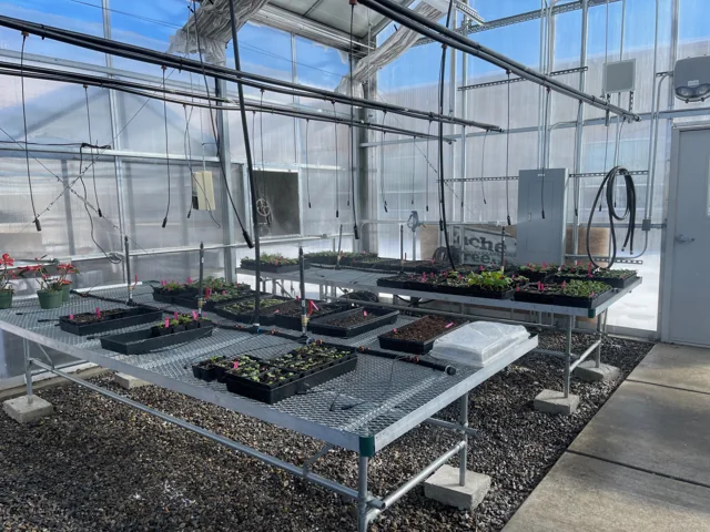 Benches and crop layout