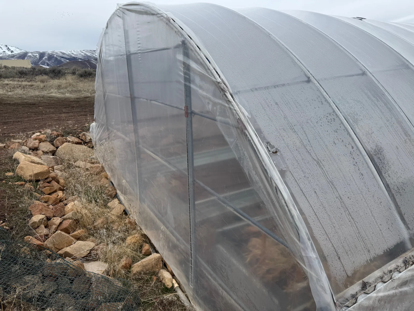 Curved hoop-house frame and translucent covering