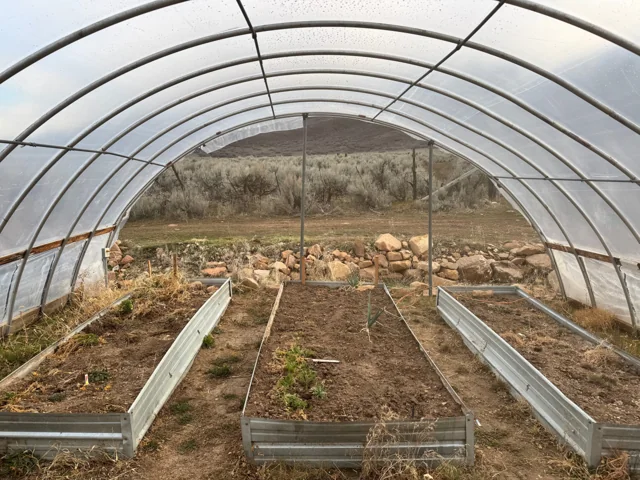 Growing inside a high tunnel
