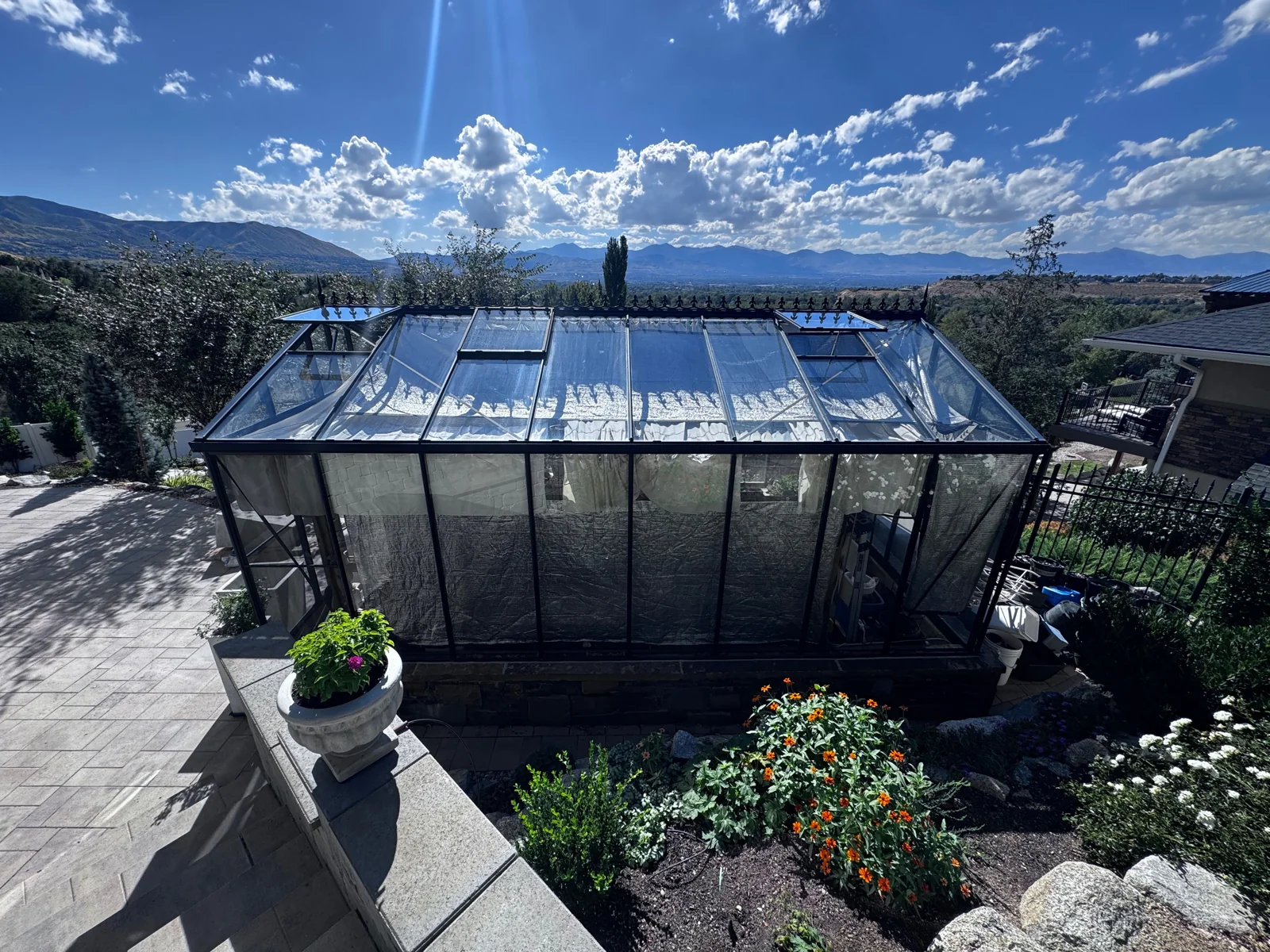 Black-framed glass greenhouse in a home garden