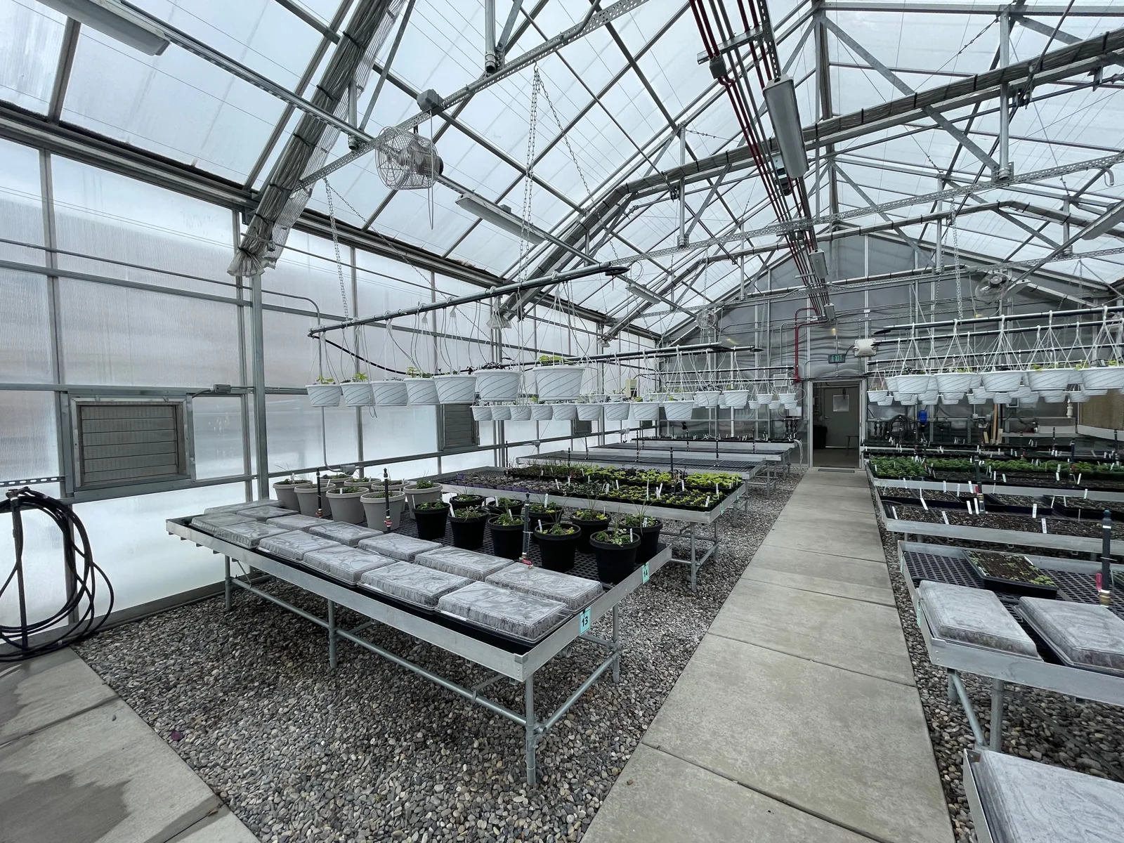 Benches and trays in a school greenhouse