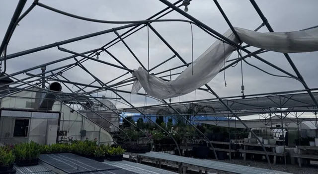 Storm-damaged roof and covering